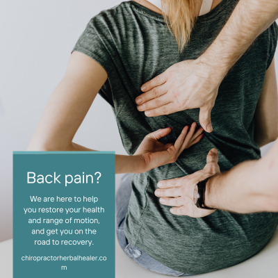 chiropractorherbalhealer.com
